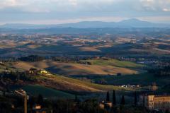 WhatsApp-Image-2026-01-13-at-2.51.46-PM