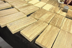 f1503300-869a-4cbd-9b44-f78839aaaea9